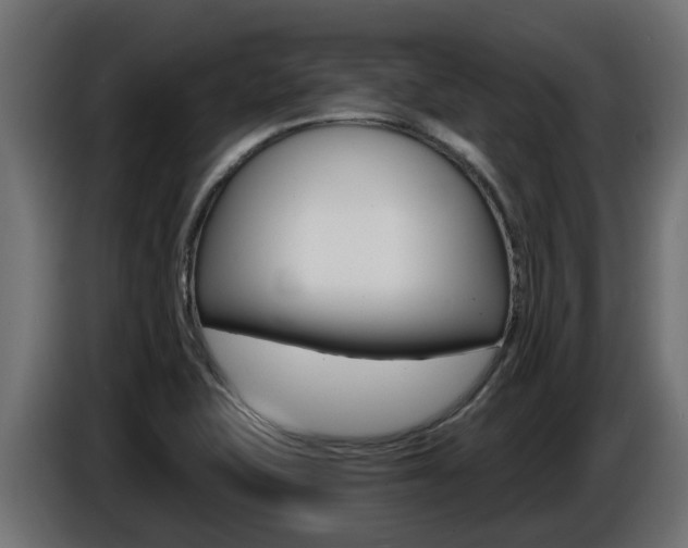 X0000086731415200704130738