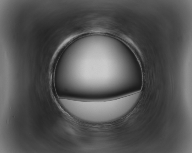 X0000086731416200704130738