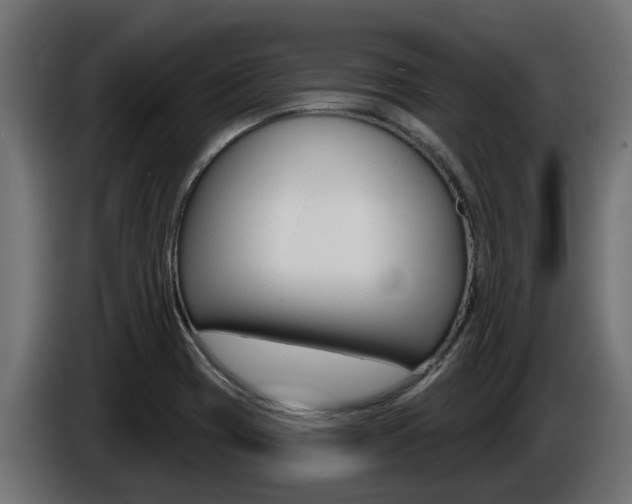 X0000086731417200704130738