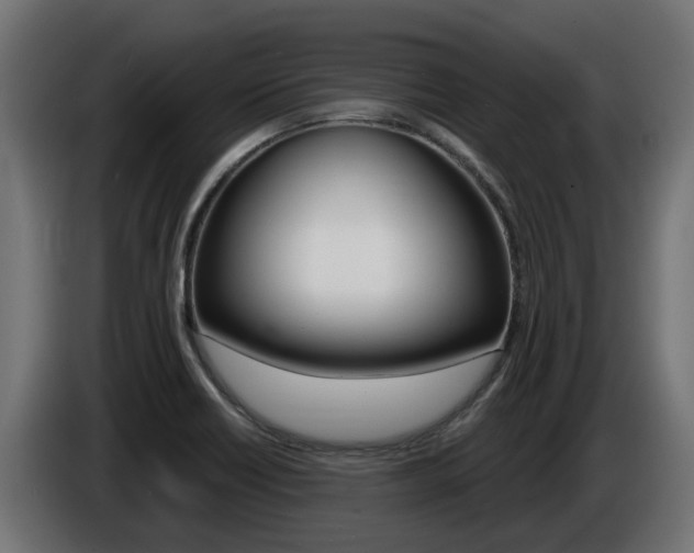 X0000086731418200704130738
