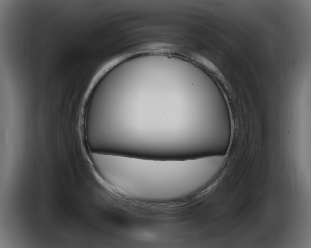 X0000086731421200704130738