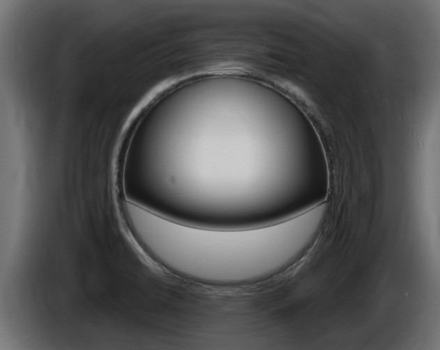 X0000086731422200704130738