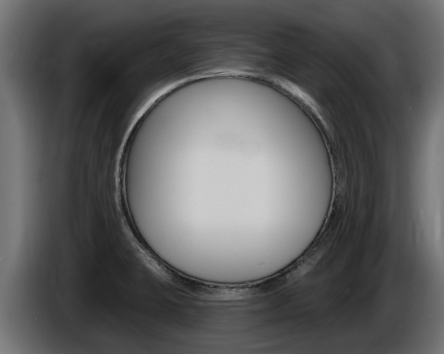 X0000086731423200704130738