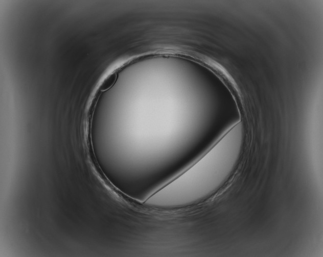 X0000086731424200704130738