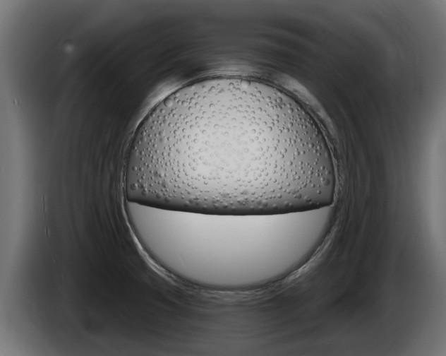 X0000086731425200704130738