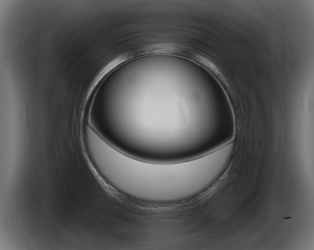 X0000086731426200704130738