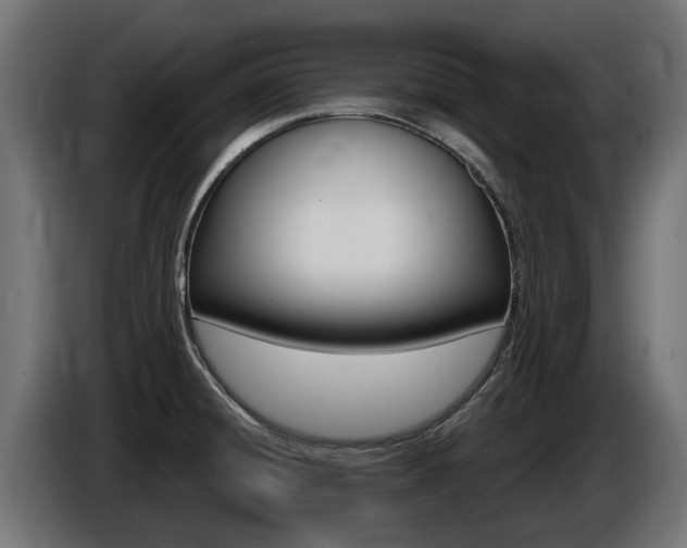 X0000086731428200704130738