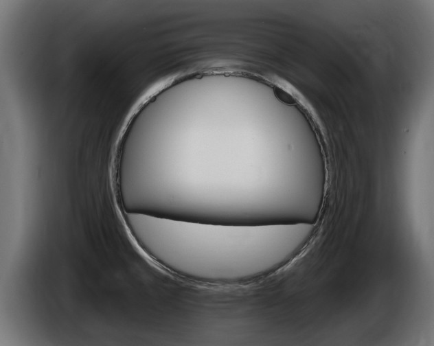 X0000086731429200704130738