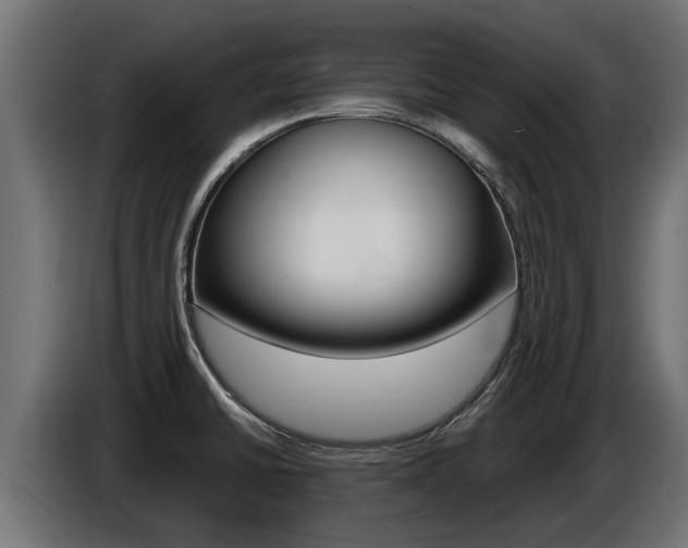 X0000086731430200704130738