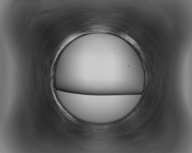 X0000086731431200704130738