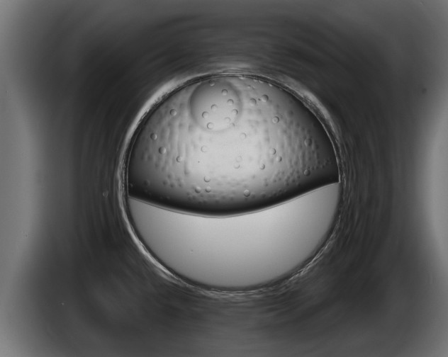 X0000086731432200704130738