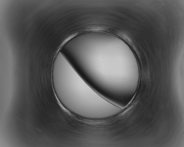 X0000086731433200704130738