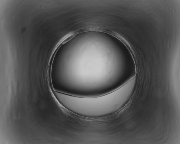 X0000086731434200704130738