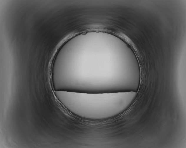 X0000086731435200704130738