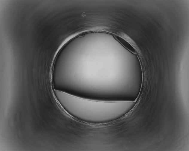 X0000086731436200704130738