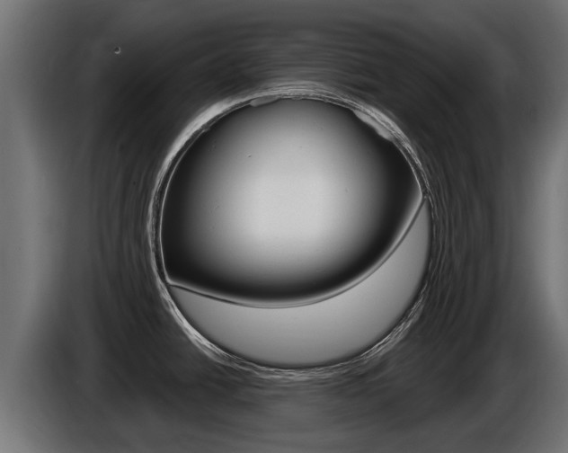X0000086731438200704130738
