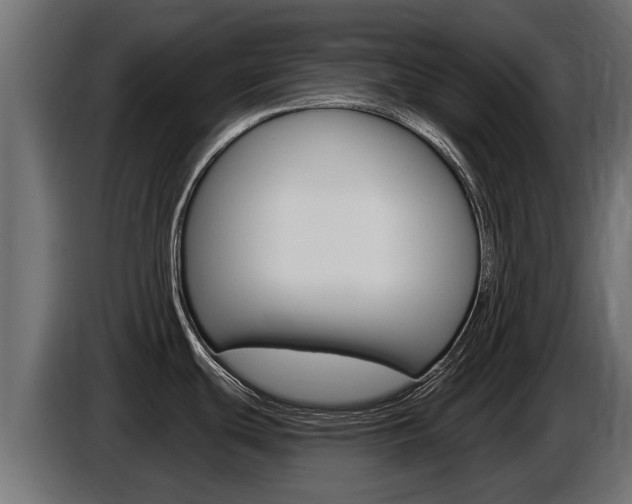 X0000086731439200704130738