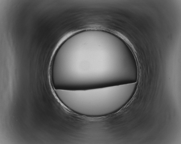 X0000086731440200704130738