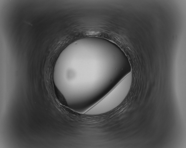 X0000086731441200704130738