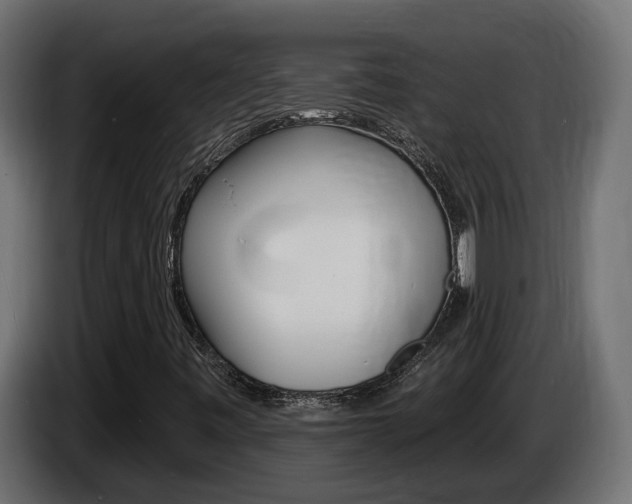 X0000086731443200704130738