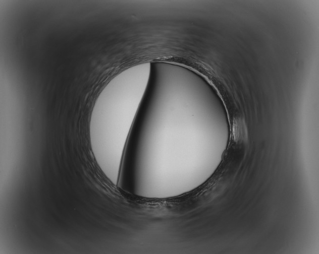 X0000086731444200704130738