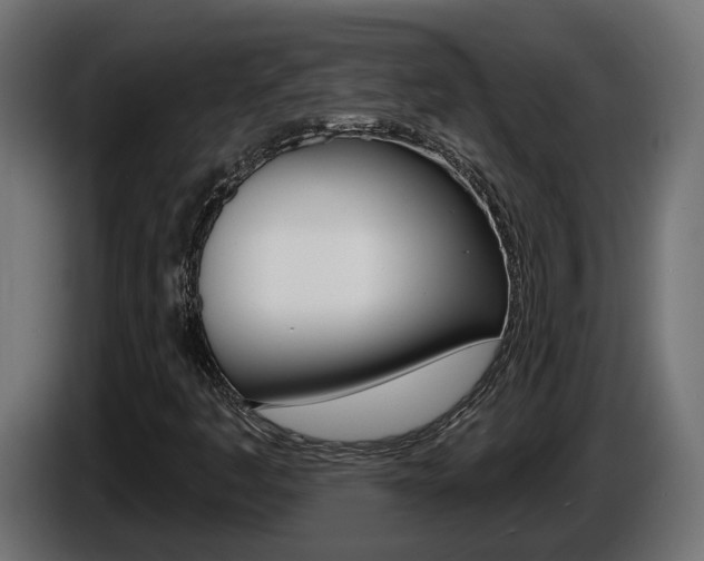 X0000086731445200704130738