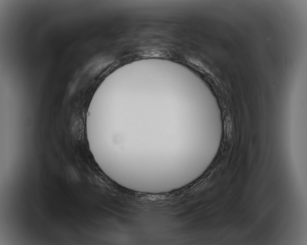 X0000086731446200704130738
