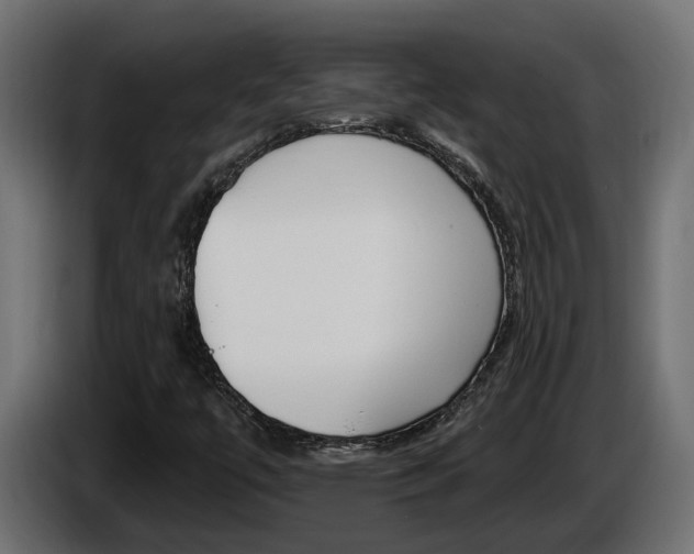 X0000086731447200704130738