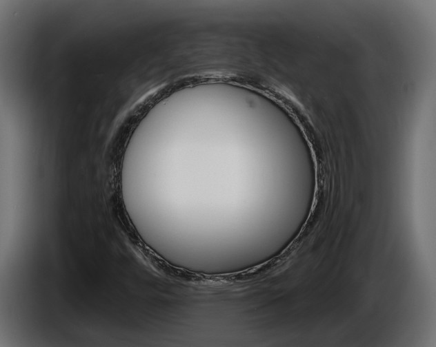 X0000086731448200704130738