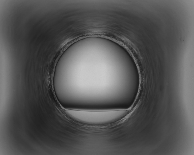 X0000086731449200704130738