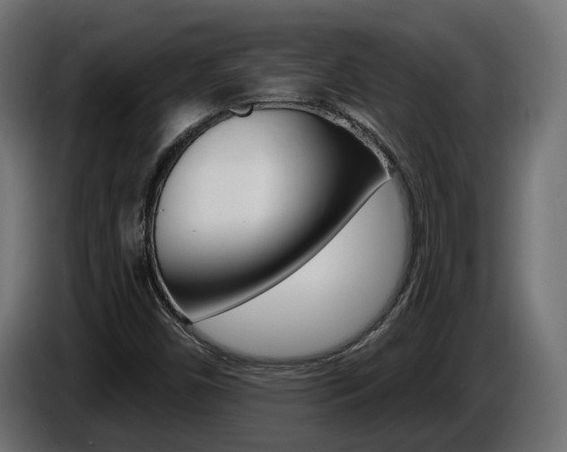 X0000086731450200704130737