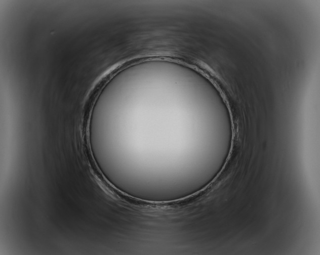 X0000086731452200704130737