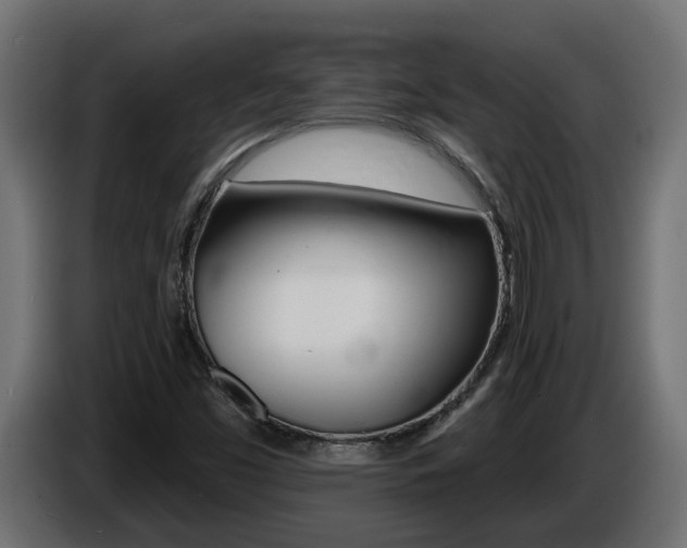 X0000086731453200704130737