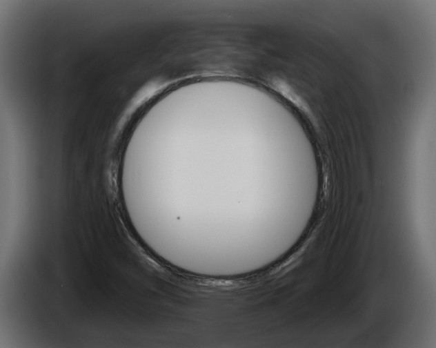 X0000086731454200704130737