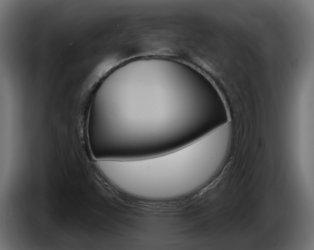 X0000086731455200704130737