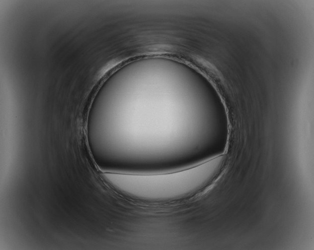 X0000086731457200704130737