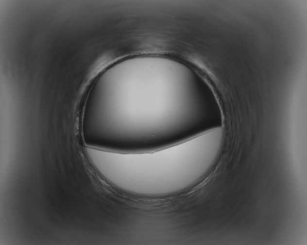 X0000086731459200704130737