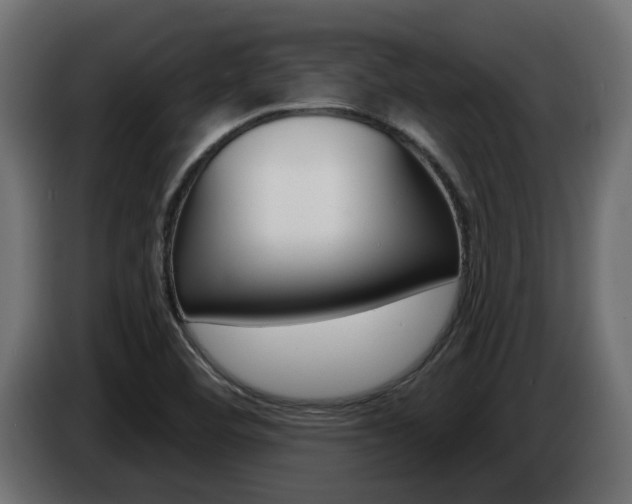 X0000086731460200704130737