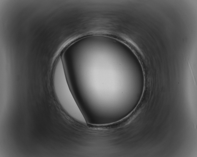 X0000086731461200704130737
