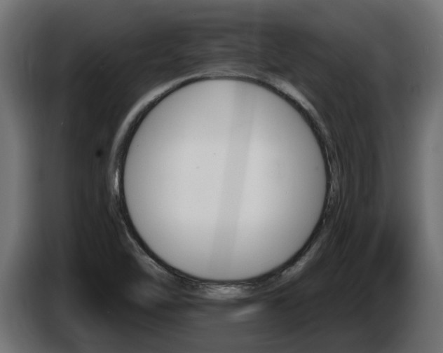 X0000086731462200704130737