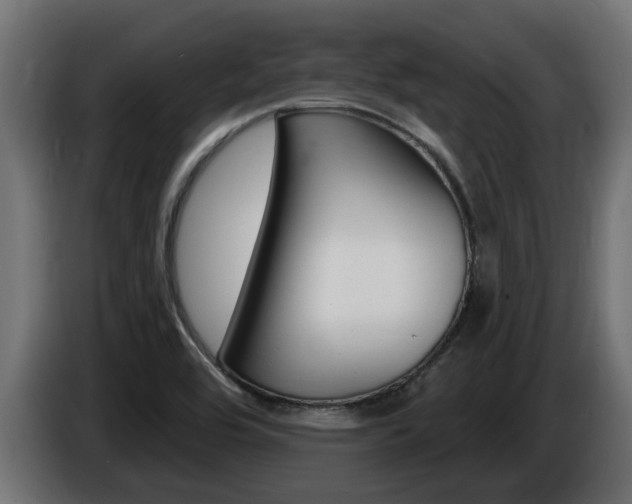 X0000086731464200704130737