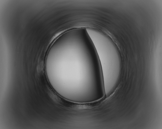X0000086731465200704130737
