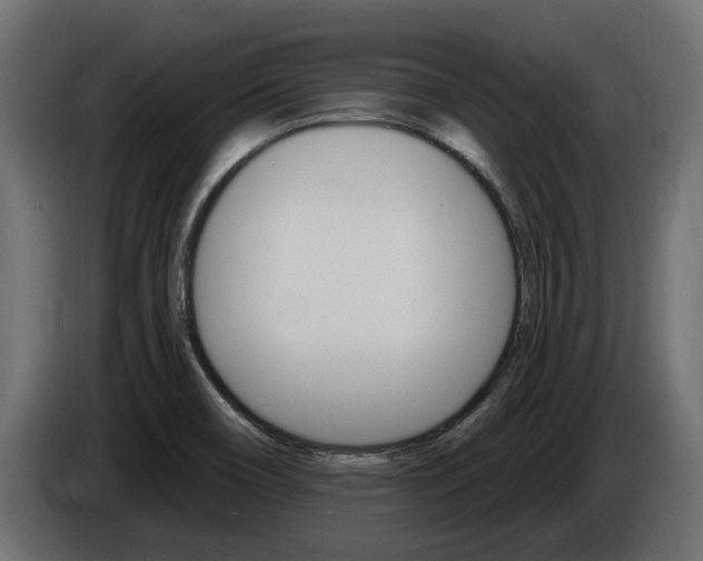 X0000086731466200704130737