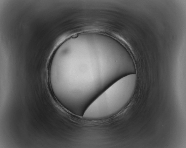 X0000086731467200704130737