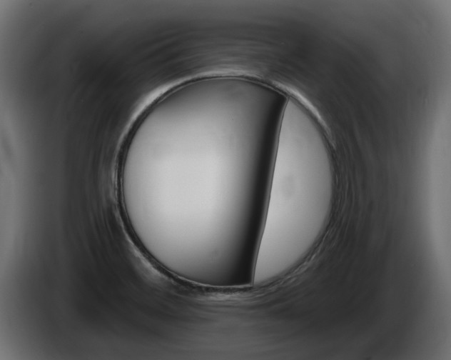 X0000086731468200704130737
