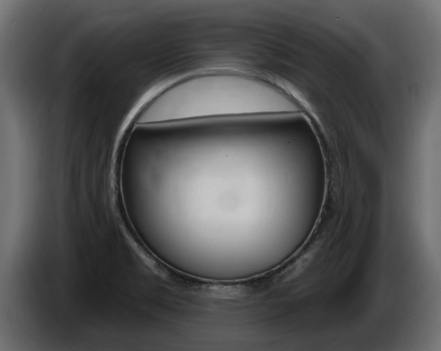 X0000086731469200704130737