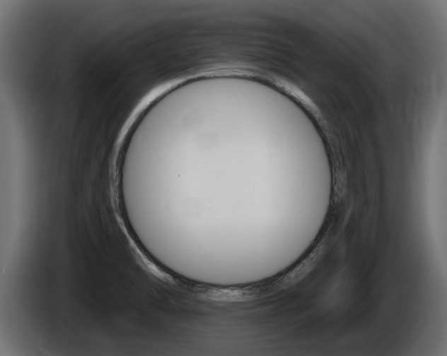X0000086731470200704130737