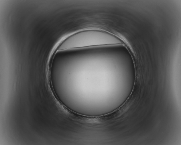 X0000086731472200704130737