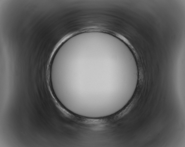 X0000086731474200704130737