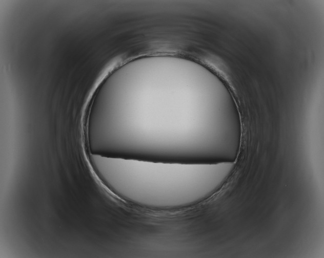 X0000086731475200704130737